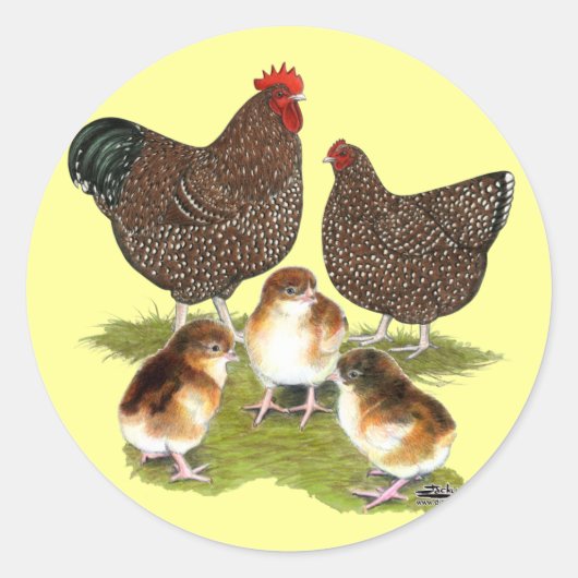 Orpington Jubilee Chicken Family Ronde Sticker (Voorkant)