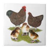 Orpington Jubilee Chicken Family Tegeltje (Voorkant)