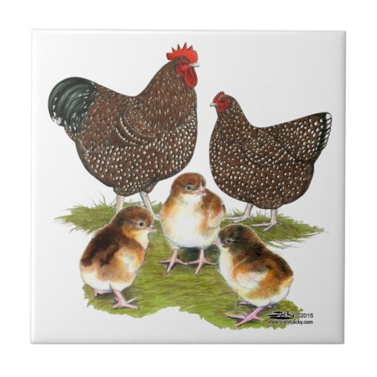 Orpington Jubilee Chicken Family Tegeltje (Voorkant)