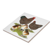 Orpington Jubilee Chicken Family Tegeltje (Zijkant)