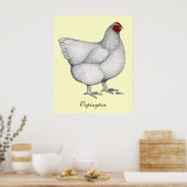 Orpington White Hen Poster (Keuken)