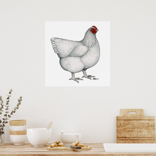 Orpington White Hen Poster (Keuken)