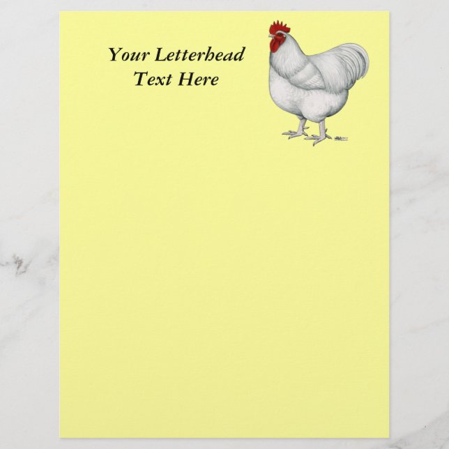Orpington White Rooster (Voorkant)