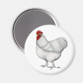 Orpington White Rooster Magneet (Voorkant / Achterkant)