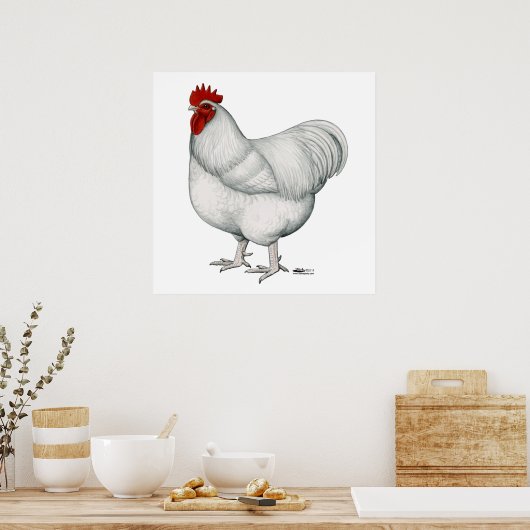 Orpington White Rooster Poster (Keuken)