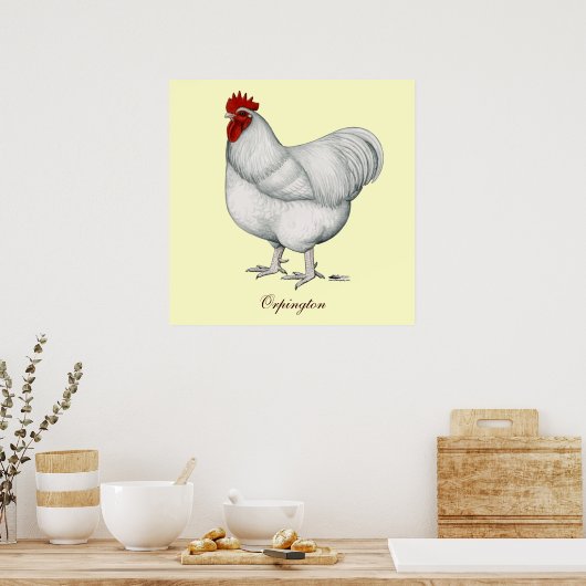 Orpington White Rooster Poster (Keuken)