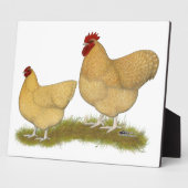 Orpingtons Lemon Cuckoo Fotoplaat (Zijkant)