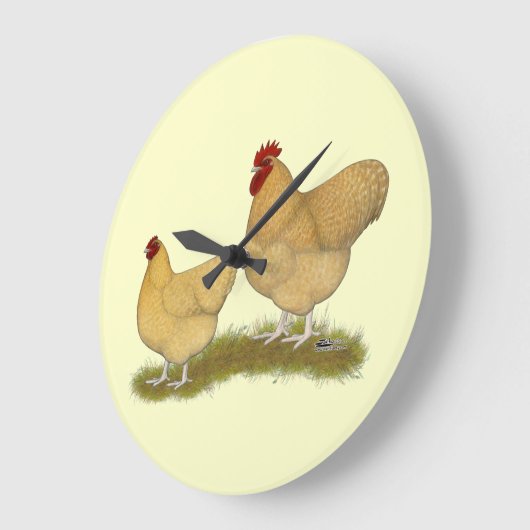 Orpingtons Lemon Cuckoo Grote Klok (Hoek)