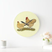 Orpingtons Lemon Cuckoo Grote Klok (Huis)