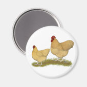 Orpingtons Lemon Cuckoo Magneet (Voorkant / Achterkant)