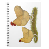 Orpingtons Lemon Cuckoo Notitieboek (Voorkant)