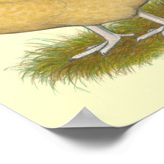 Orpingtons Lemon Cuckoo Poster (Hoek)