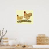 Orpingtons Lemon Cuckoo Poster (Keuken)