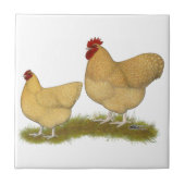 Orpingtons Lemon Cuckoo Tegeltje (Voorkant)