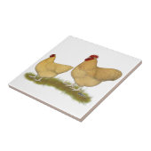 Orpingtons Lemon Cuckoo Tegeltje (Zijkant)