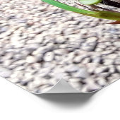 orquidea poster (Hoek)