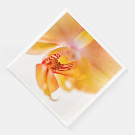 Orquídea Servet (Hoek)