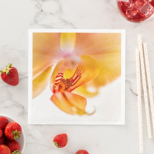 Orquídea Servet (Insitu)