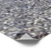 orquideas 01 poster (Hoek)