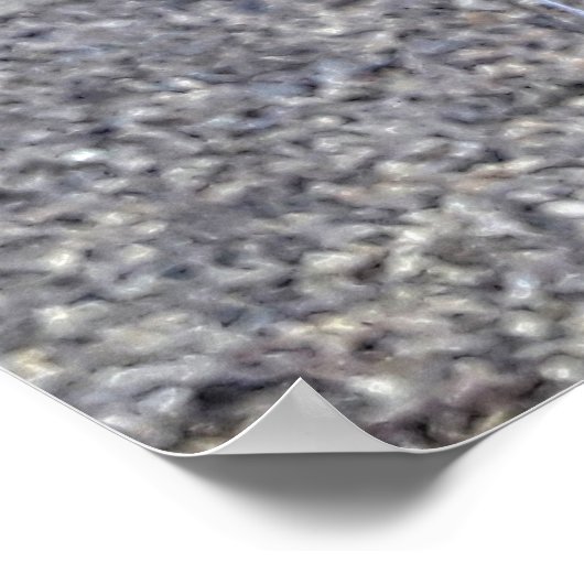 orquideas 01 poster (Hoek)