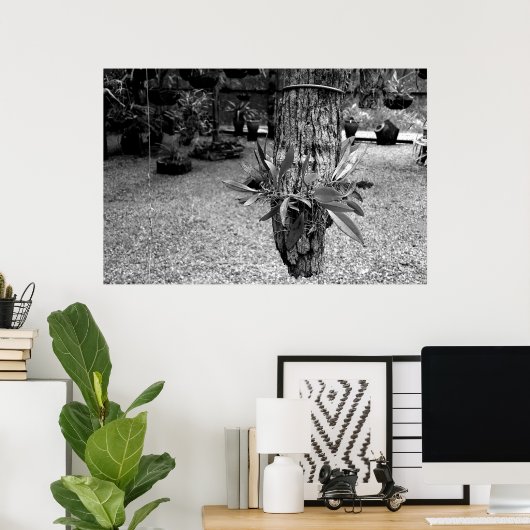 orquideas 02 poster (Thuiskantoor)