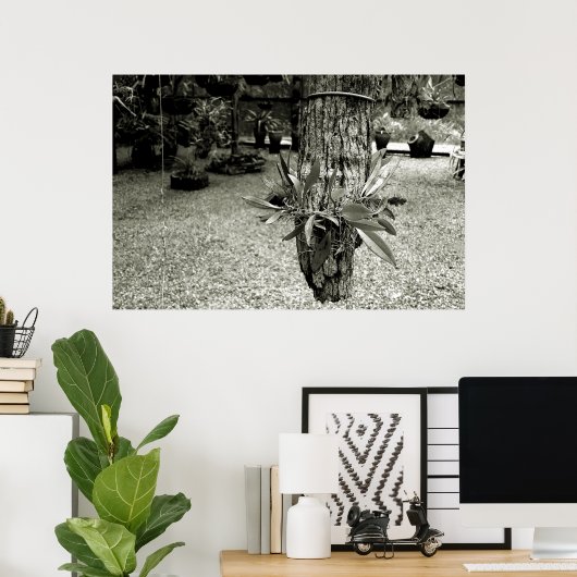 orquideas 04 poster (Thuiskantoor)