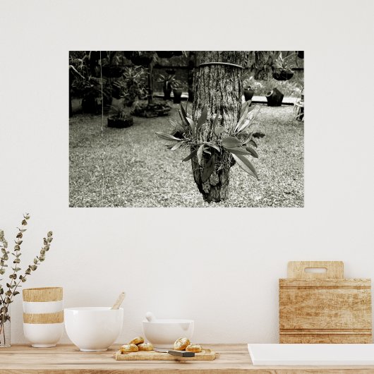 orquideas 04 poster (Keuken)