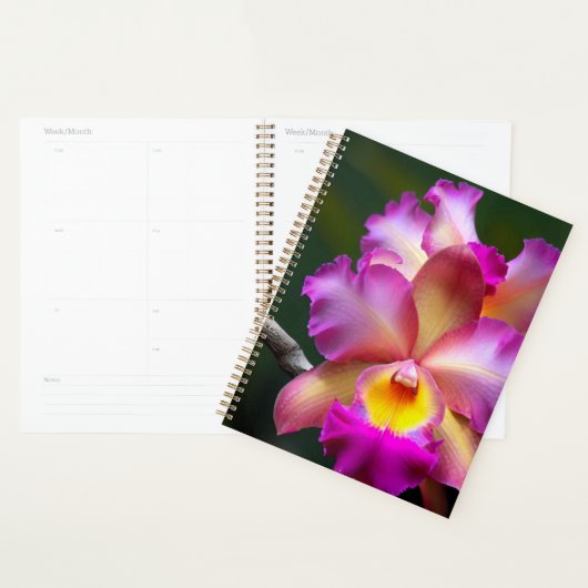  Orquideas Planner (Display)