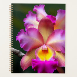  Orquideas Planner