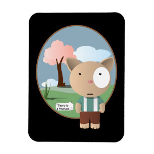 Orthopedie Anesthesie Fractuur Magneet