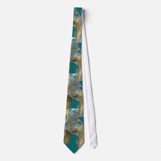 Orthopedisch arts chirurg Hip Joint Necktie Stropdas (Voorkant)