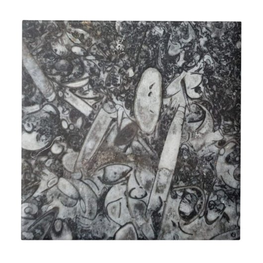 Orthosera en Goniatiet fossiel Tegeltje (Voorkant)