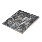 Orthosera en Goniatiet fossiel Tegeltje (Zijkant)