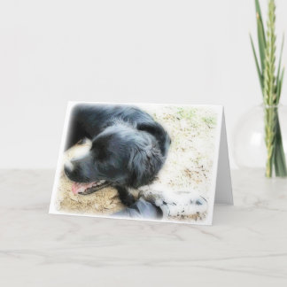 Orton Smokey en Matte Kaart