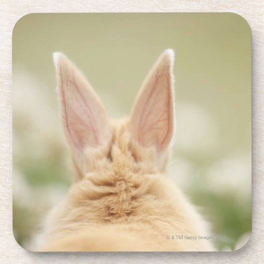 Oryctolagus cuniculus 2 bier onderzetter (Voorkant)