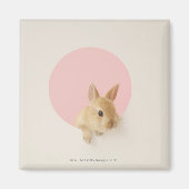 Oryctolagus cuniculus 3 magneet (Voorkant)