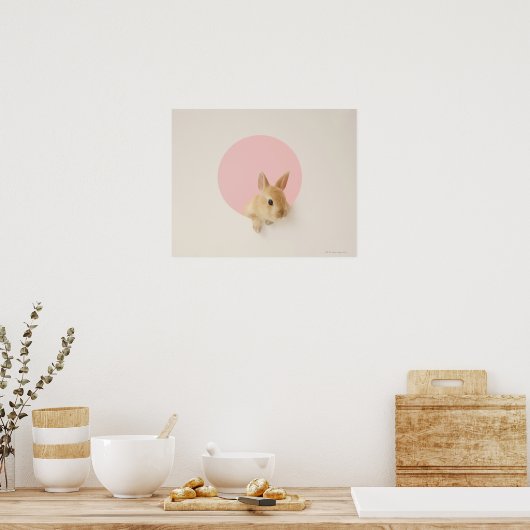 Oryctolagus cuniculus 3 poster (Keuken)