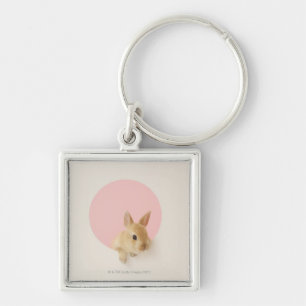 Oryctolagus cuniculus 3 sleutelhanger
