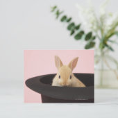 Oryctolagus cuniculus briefkaart (Staand voorkant)