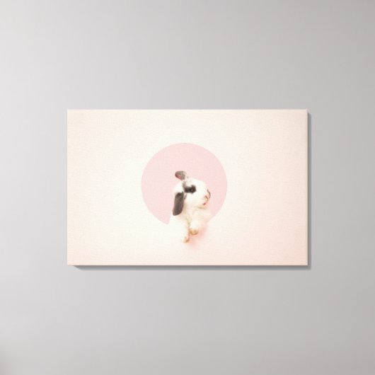 Oryctolagus cuniculus canvas afdruk (Voorkant)