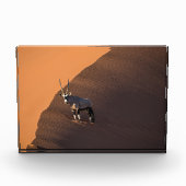 Oryx aan de rand, Namibië Fotoblokken (Voorkant)