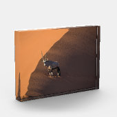 Oryx aan de rand, Namibië Fotoblokken (Links)