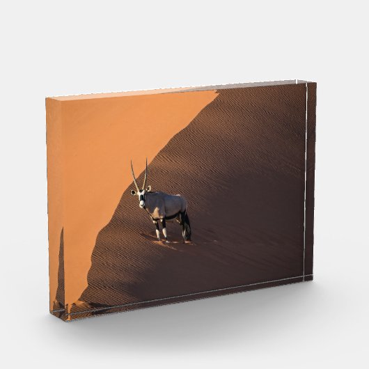 Oryx aan de rand, Namibië Fotoblokken (Links)