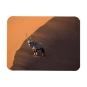 Oryx aan de rand, Namibië Magneet (Horizontaal)
