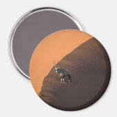 Oryx aan de rand, Namibië Magneet (Voorkant / Achterkant)