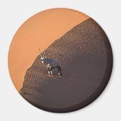 Oryx aan de rand, Namibië Magneet (Voorkant)