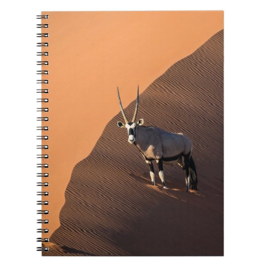 Oryx aan de rand, Namibië Notitieboek (Voorkant)