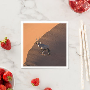 Oryx aan de rand, Namibië Servet