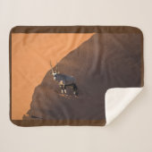 Oryx aan de rand, Namibië Sherpa Deken (Voorkant (horizontaal))