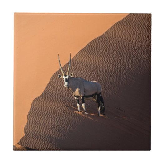 Oryx aan de rand, Namibië Tegeltje (Voorkant)